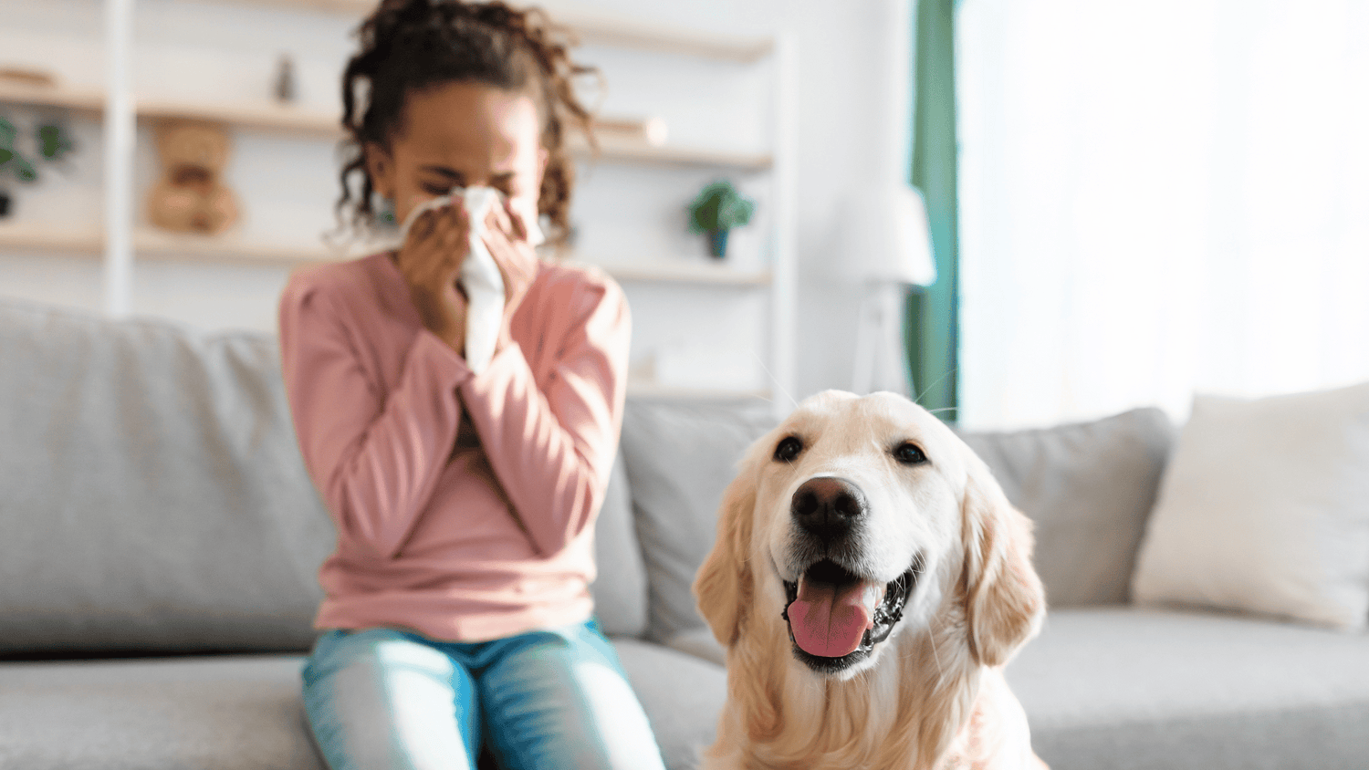 Reduce allergens in your home